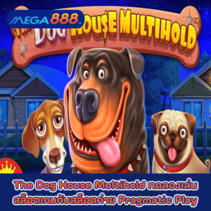 The Dog House Multiholdทดลองเล่นสล็อตเกมกับสล็อตค่าย Pragmatic Play