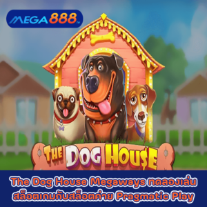 The Dog House Megaways ทดลองเล่นสล็อตเกมกับสล็อตค่าย Pragmatic Play