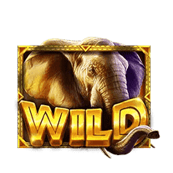 Wild African Elephant ทดลองเล่นสล็อต ค่าย Pragmatic Play เกมใหม่2023